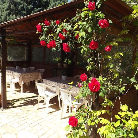 B&B Villa Lena Turi Exterior foto