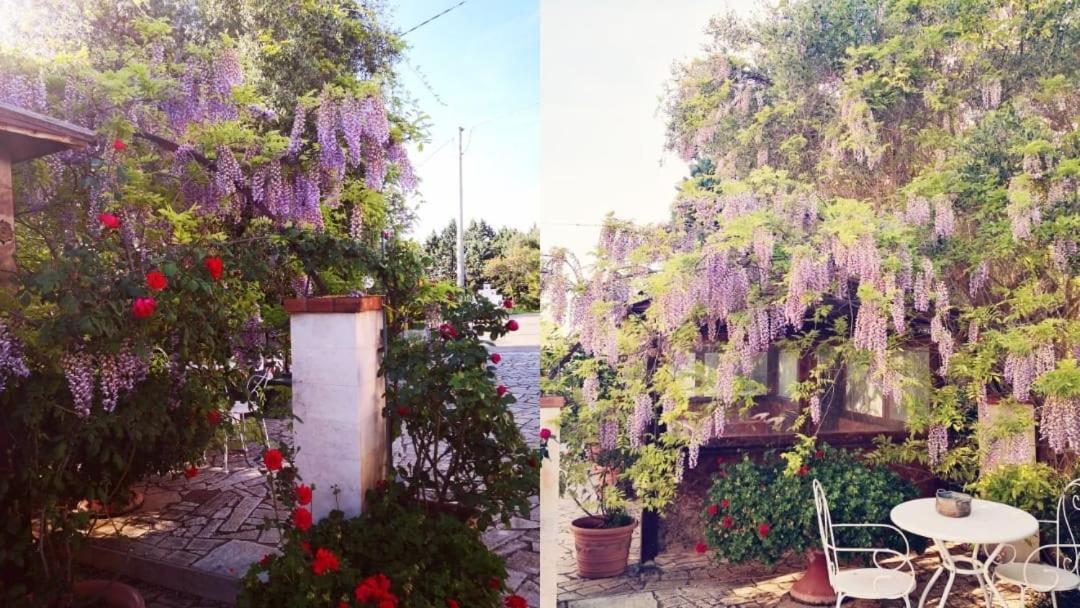 B&B Villa Lena Turi Exterior foto