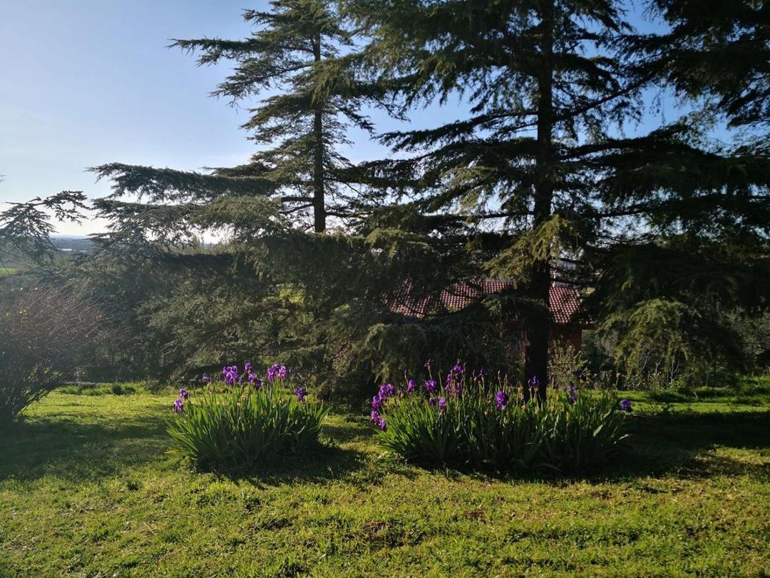 B&B Villa Lena Turi Exterior foto